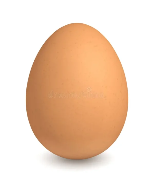 Egg